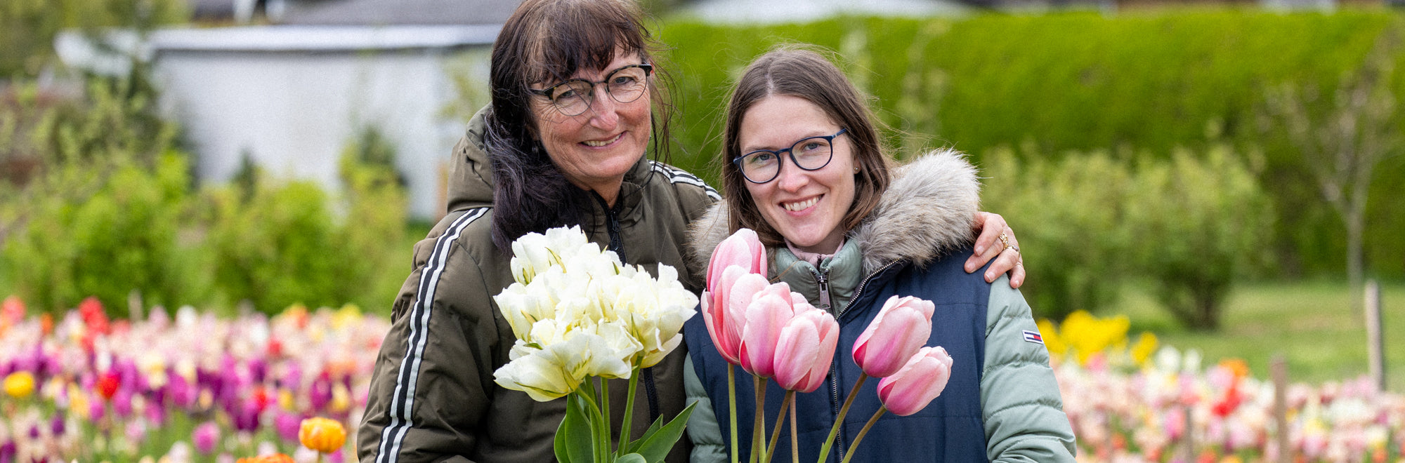 Tulipaner | Blomsterverden
